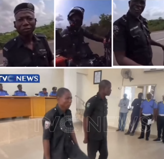 Nigeria Police dismiss special constabularies who attempted to extort Dutch tourist (video)