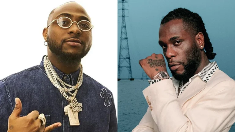 I Don’t Use Songwriters-Burna Boy Replies Davido Signee Logos Olori