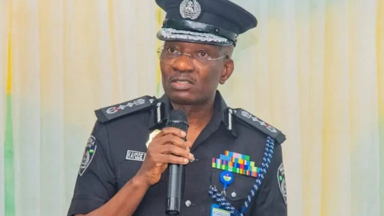 IGP Appoints Commander For Petroleum Taskforce -Condemns Oil Theft