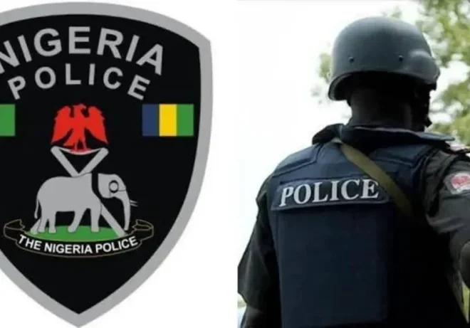 No More Roadblocks- Nigerian Police Reveals Some Benefits Of E-CMR.