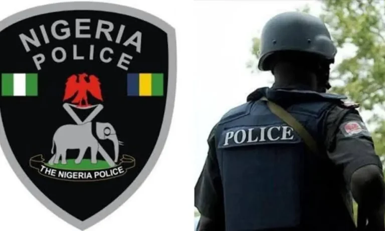 No More Roadblocks- Nigerian Police Reveals Some Benefits Of E-CMR.